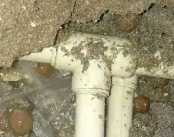 贵池测漏水多少钱