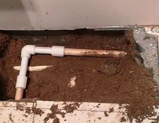 贵池测漏水哪家好